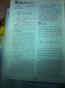 圍繞甜為主題的作文開(kāi)頭
