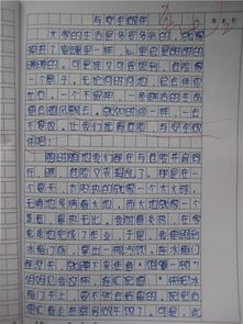 有關(guān)行車(chē)安全作文開(kāi)頭