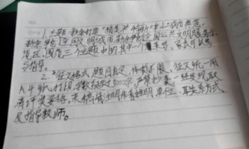 社會文明體驗(yàn)活動作文開頭