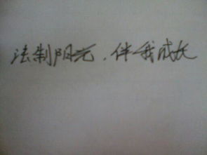 春節(jié)伴我成長作文600字作文開頭