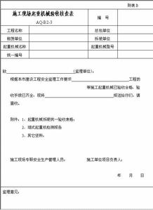 公司現場(chǎng)核查自查報告模板(決算核查自查報告)