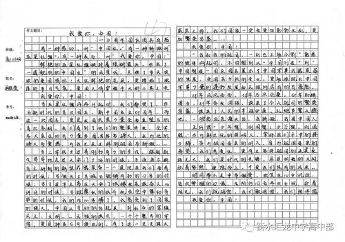 大閱兵作文好開(kāi)頭