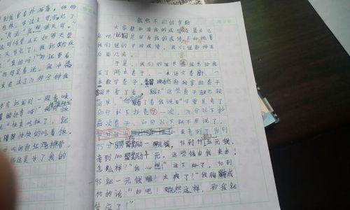 請還給我開(kāi)頭作文