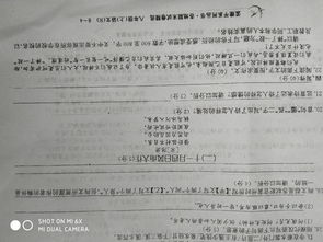 西紅柿的開(kāi)頭作文開(kāi)頭