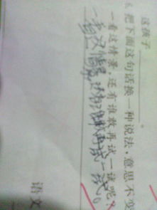 春節(jié)的作文開(kāi)頭100字
