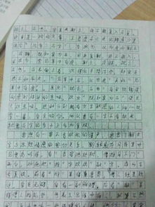 精彩在什么中作文600字作文開(kāi)頭