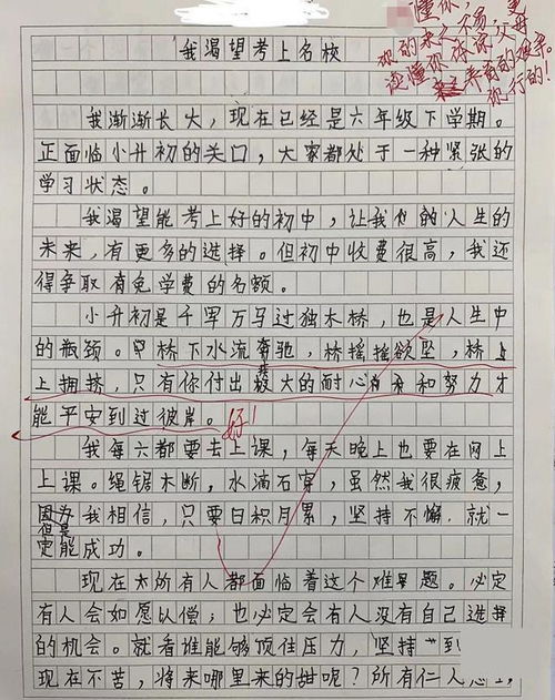 我的小學(xué)學(xué)校作文開(kāi)頭結尾