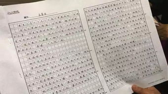 新會(huì)偉人作文開頭