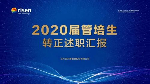 管培生轉正述職報告范文(管培生的述職報告)