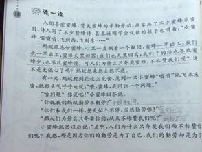 我明白了感恩作文開(kāi)頭
