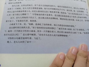 帶開(kāi)頭的續寫(xiě)童話(huà)作文