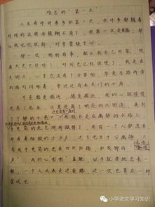第一次難忘的驚喜作文開(kāi)頭
