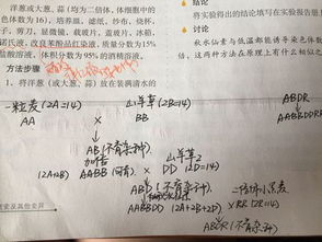 一個平常的故事600字作文開頭