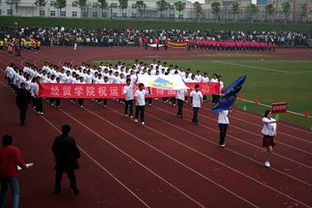 關(guān)于運動(dòng)會(huì )的報道稿(關(guān)于運動(dòng)會(huì )的報道稿)