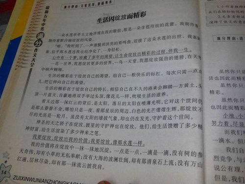 高中以收獲為題作文600字作文開(kāi)頭和結尾