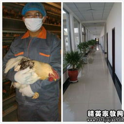 大一工廠社會實踐報告(大一學生工廠社會實踐報告)
