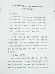 經(jīng)濟責任審計整改報告(經(jīng)濟責任審計整改情況報告)