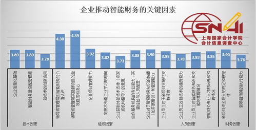 學(xué)校財務(wù)自我檢查報告(學(xué)校評估自我檢查報告)
