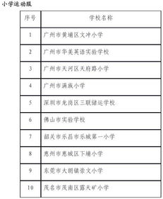有關(guān)學(xué)校校服采購情況的調查報告(有關(guān)學(xué)校校服采購情況的調查報告)