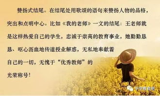 作文,開(kāi)頭,理想,希望