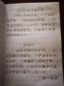 作文,重要性,開(kāi)頭,嘗試
