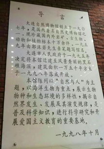 發(fā)現(xiàn)了大自然的奧秘作文,我發(fā)現(xiàn)了大自然的奧秘作文300字,大自然的奧秘三年級作文