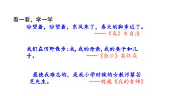 關愛的作文的開門見山的開頭