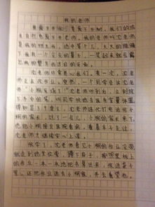 給我一點(diǎn)點(diǎn)作文開頭結(jié)尾