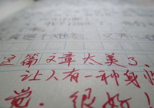 引用詩(shī)詞的作文開(kāi)頭和結尾