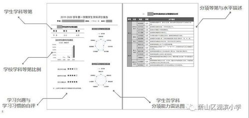 自我分析形成報(bào)告(自我評價的形成分析)