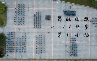 軍訓小記作文開頭