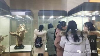 我的肩膀能挑多重的擔(dān)子作文開(kāi)頭