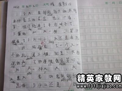 用排比開(kāi)頭寫(xiě)植物的作文開(kāi)頭結尾
