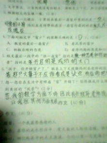 九級心中的那扇窗作文開(kāi)頭