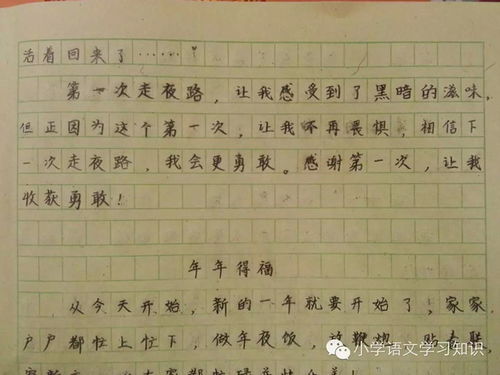 難忘的一刻作文優(yōu)秀開(kāi)頭