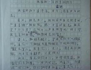 寫(xiě)景開(kāi)頭敘事作文600字