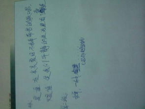 自己的選擇600字作文開頭