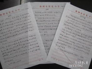自強不息優(yōu)秀滿(mǎn)分作文開(kāi)頭