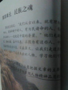 關于人物的品質(zhì)的作文(形容人物的品質(zhì)的成語)