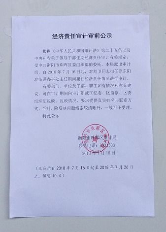 任期經(jīng)濟責任審計的審前公告范文(經(jīng)濟責任審計的審前調查)