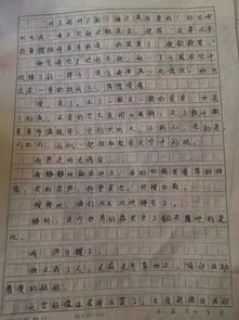 當有人冤枉時作文小升初開頭