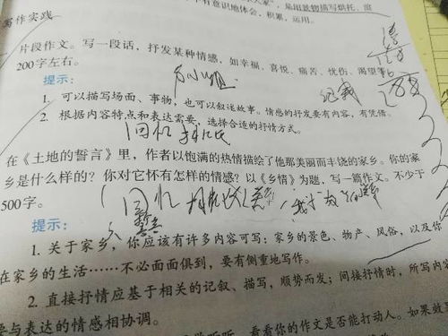 鄉情作文開(kāi)頭優(yōu)秀