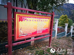 村規民約(村規民約)