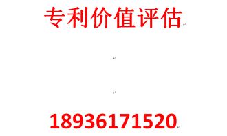 無(wú)形資產(chǎn)資產(chǎn)評估報告(無(wú)形資產(chǎn)評估報告（專(zhuān)利）)