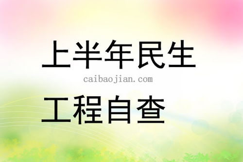 民生工程及民生實事實施情況的自查報告范文(民生工程及民生實事實施情況自查報告)