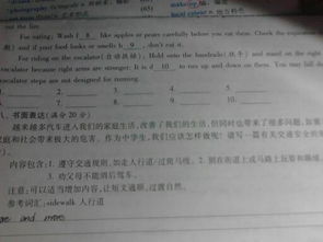 遵守規(guī)交通規(guī)則的作文開(kāi)頭