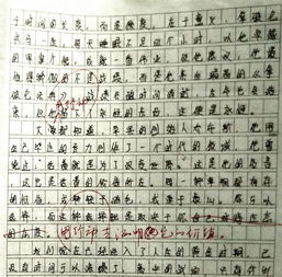作文,開(kāi)頭,天使