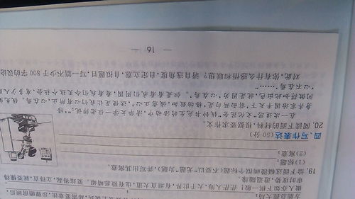 反思主題作文開(kāi)頭