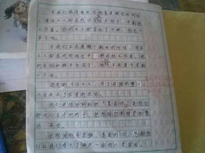 令我最敬佩的一個(gè)700字作文開頭
