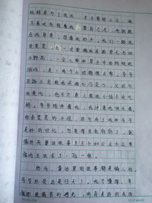 照片里的故事作文開(kāi)頭初一
